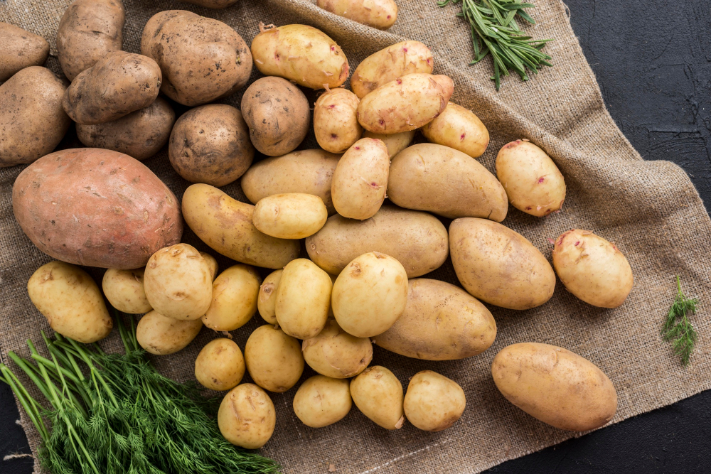 NFU calls on Government to safeguard British potato production British, Government, NFU, Potato, production, protect Food and Beverage Business