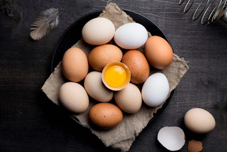 Palacios partners with American company The Every Co. to produce hen-less eggs eggs, Refrigerated, Vegetarian and Vegan Food and Beverage Business Palacios
