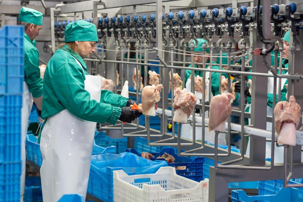 US government announces new measures to revamp poultry industry Food and Beverage Business US government announces new measures to revamp poultry industry Frozen, meat, Refrigerated Food and Beverage Business