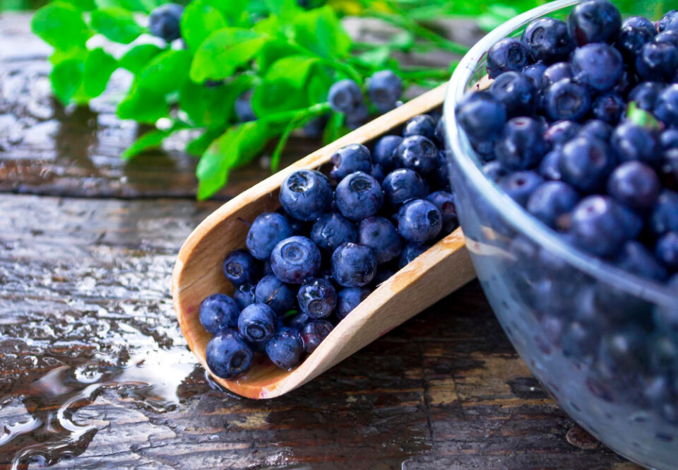 Hortifrut, a major player in the berry industry, appoints new CEO. Fresh produce Food and Beverage Business Hortifrut