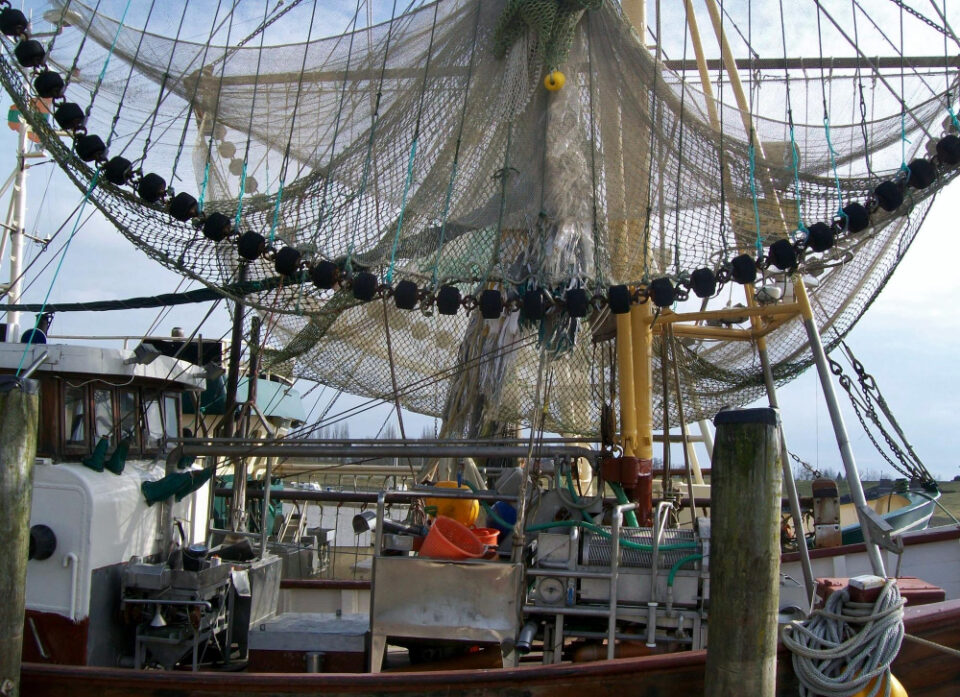 Major Danish seafood company, Espersen, appoints Tino Bendix as new CEO. Fish & Seafood, Frozen Food and Beverage Business