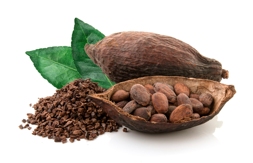 How Nestlé is Enhancing Cocoa Traceability. business, Chocolate and confectionery ingredients, cocoa, confectionery, EUDR, Food Safety & Quality, Nestlé, Processing and Packaging, Sourcing, Sustainability, Traceability, Transparency and supply chain Food and Beverage Business Nestle