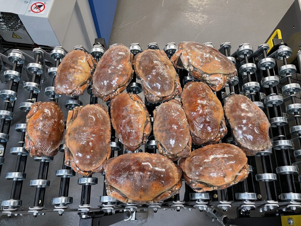 New line seals irregular seafood perfectly every time Food and Beverage Business YPS,Yorkshire Packaging Systems