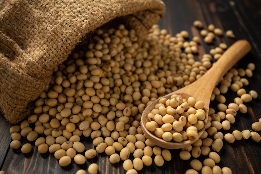 Sustainable Soy Sourcing: Ensuring EUDR Compliance and Environmental Responsibility alternative proteins, compliance, EUDR, fish and savoury ingredients, meat, Policy, Proteins, soy, Sustainability, Transparency and supply chain Food and Beverage Business