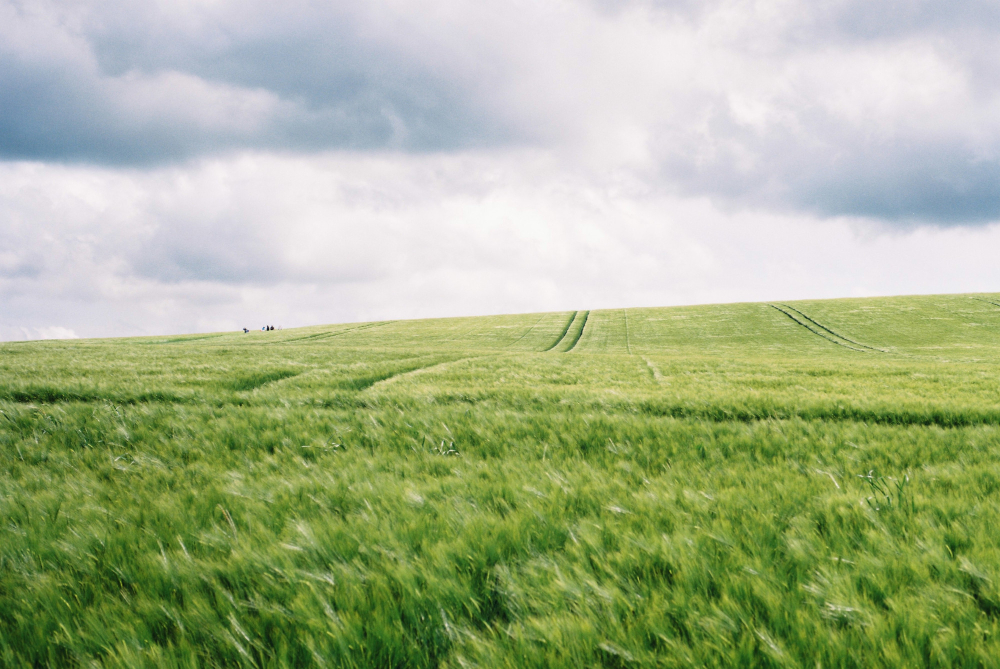 Germany's ruling on becoming climate neutral will have an impact on food marketing. Food and Beverage Business Germany's ruling on becoming climate neutral will have an impact on food marketing. ESG, Pan-industry Food and Beverage Business
