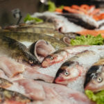 Fresh Purchase: India’s Captain Acquires Seafood Company Koral from Abris Capital Fish & Seafood Food and Beverage Business