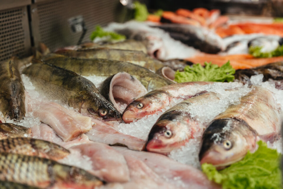 Fresh Purchase: India’s Captain Acquires Seafood Company Koral from Abris Capital Fish & Seafood Food and Beverage Business