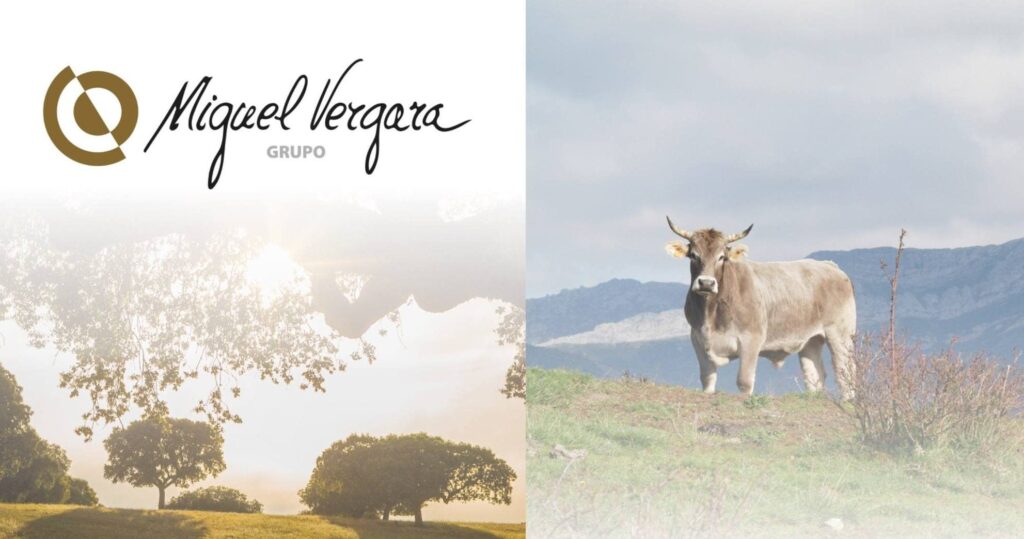 Miguel Vergara acquires Valles del Esla beef business in Spain meat Food and Beverage Business