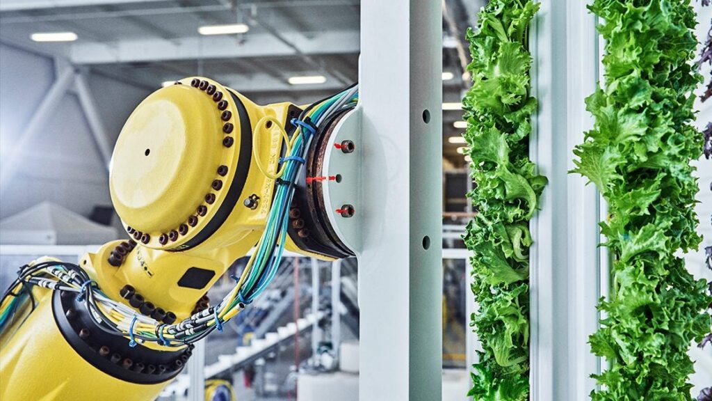 Plenty forms partnership for expansion of five vertical strawberry farms in GCC region Fresh produce Food and Beverage Business