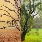 SIAL Paris Launches SIAL SUMMITS and their first CSR Award "SIAL For Change" illustrating their ongoing “Own the Change” theme Sial, Sial PAris Food and Beverage Business Fortenova