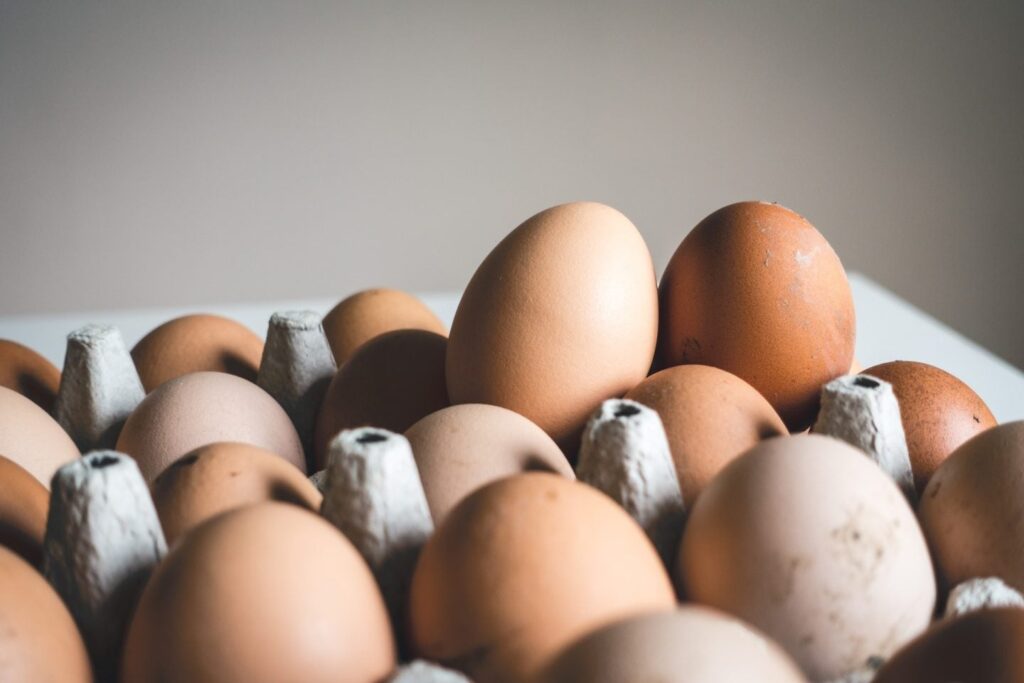 Poultry Eliminated at Griffiths UK Egg Farm Amid Rising Bird Flu Cases Agriculture, Bird flu, culling, egg farm, eggs, Griffiths, incidence, poultry, UK Food and Beverage Business