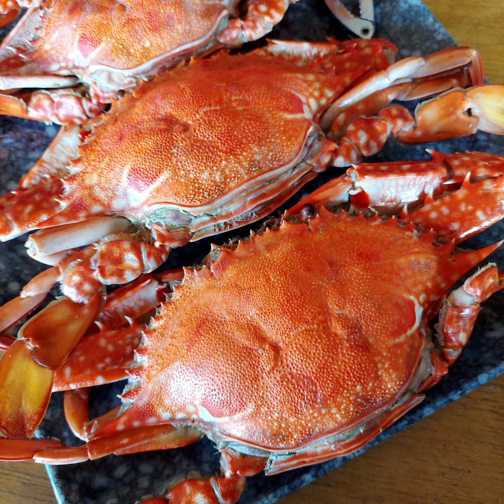 New England Seafood International acquires crab company in the UK Fish & Seafood, Frozen Food and Beverage Business