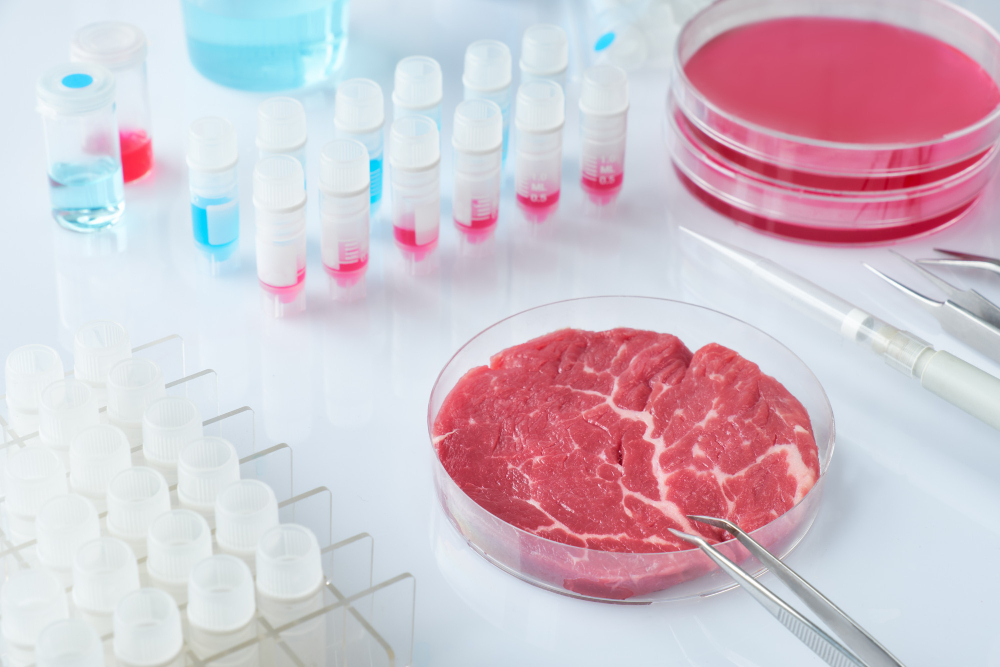 Legal challenge to Florida's ban on cell-based meat production meat Food and Beverage Business