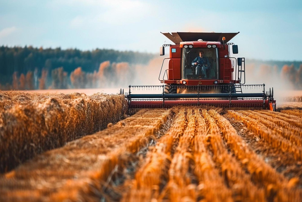 UK farming organization warns of self-sufficiency concerns Food and Beverage Business UK farming organization warns of self-sufficiency concerns Dairy & Soy Food, Fresh produce, meat Food and Beverage Business