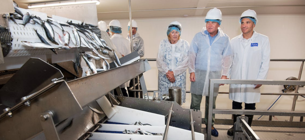 Morrisons commits £12.8m to upgrade fish freezing facility £12.8m, fish freezing facility, invests, Morrisons Food and Beverage Business