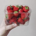 UK Plastics Pact Members Confirm Recycling of Kerbside Collected Tray Waste into New Food Trays collected, food, kerbside, kerbside recycling, local authorities, members, NEW, plastic food trays, plastic tray, Plastics Pact, Recycled, tray, Trays, UK, UK Plastics Pact, validate, Waste Food and Beverage Business saputo