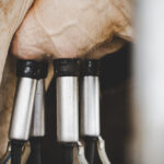 New Zealand Intensifies Dairy Dispute with Canada Dairy & Soy Food Food and Beverage Business