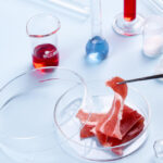 UK Government Unveils Regulatory Sandbox for Cultivated Meat alternative proteins, fish and savoury ingredients, food tech, Innovation & NPD, meat, Policy, Proteins, Sustainability Food and Beverage Business