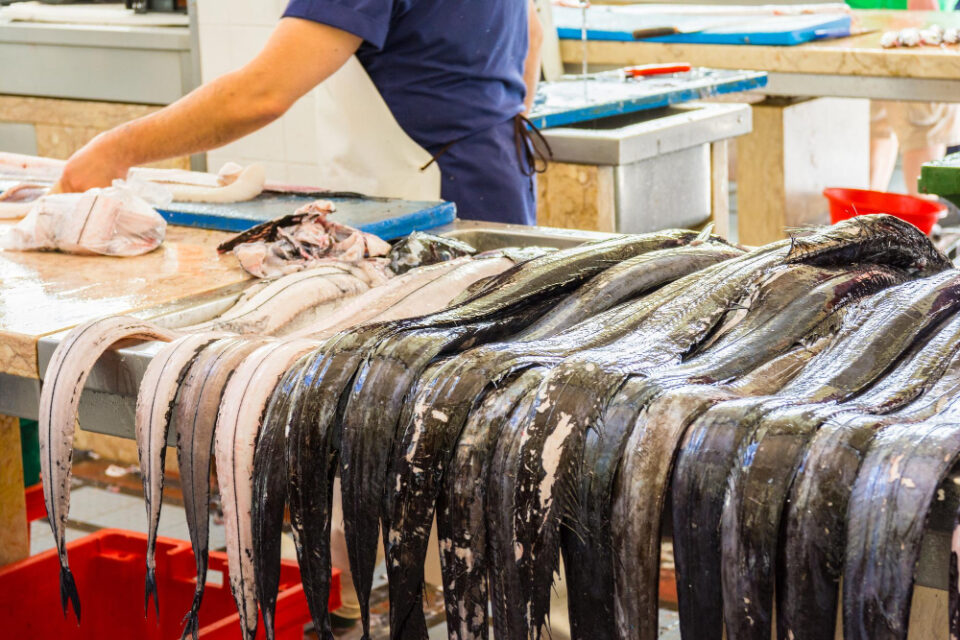 Jobs Preserved as D&A Seafood Emerges from Administration meat, People & Skills, poultry & seafood Food and Beverage Business