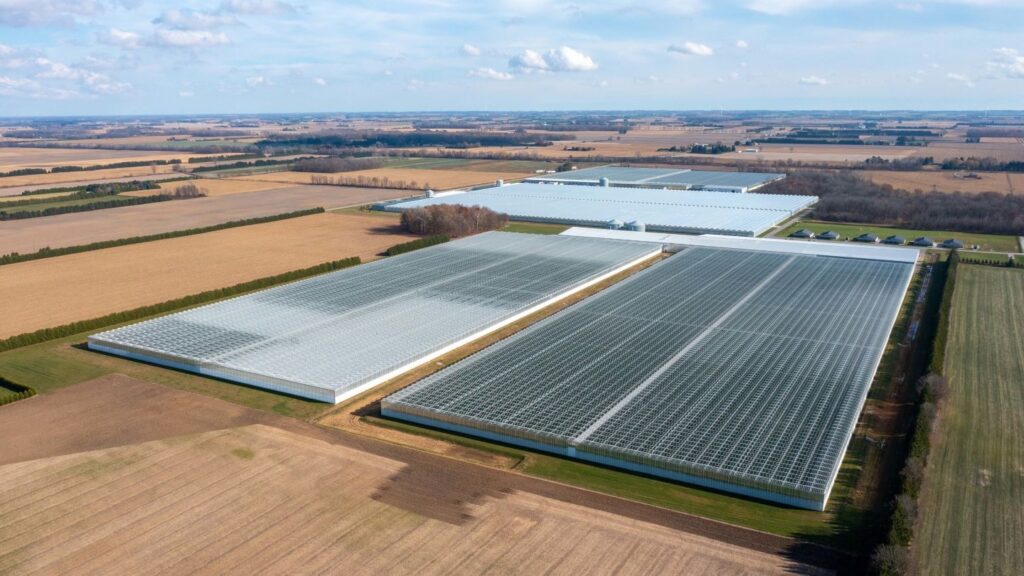 Mucci Farms Acquires Greenhill Produce, Expanding Its Fruit and Vegetable Portfolio Food and Beverage Business Mucci Farms Acquires Greenhill Produce, Expanding Its Fruit and Vegetable Portfolio Food and Beverage Business