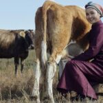 APU Dairy in Mongolia Secures Funding to Expand Operations Dairy & Soy Food Food and Beverage Business