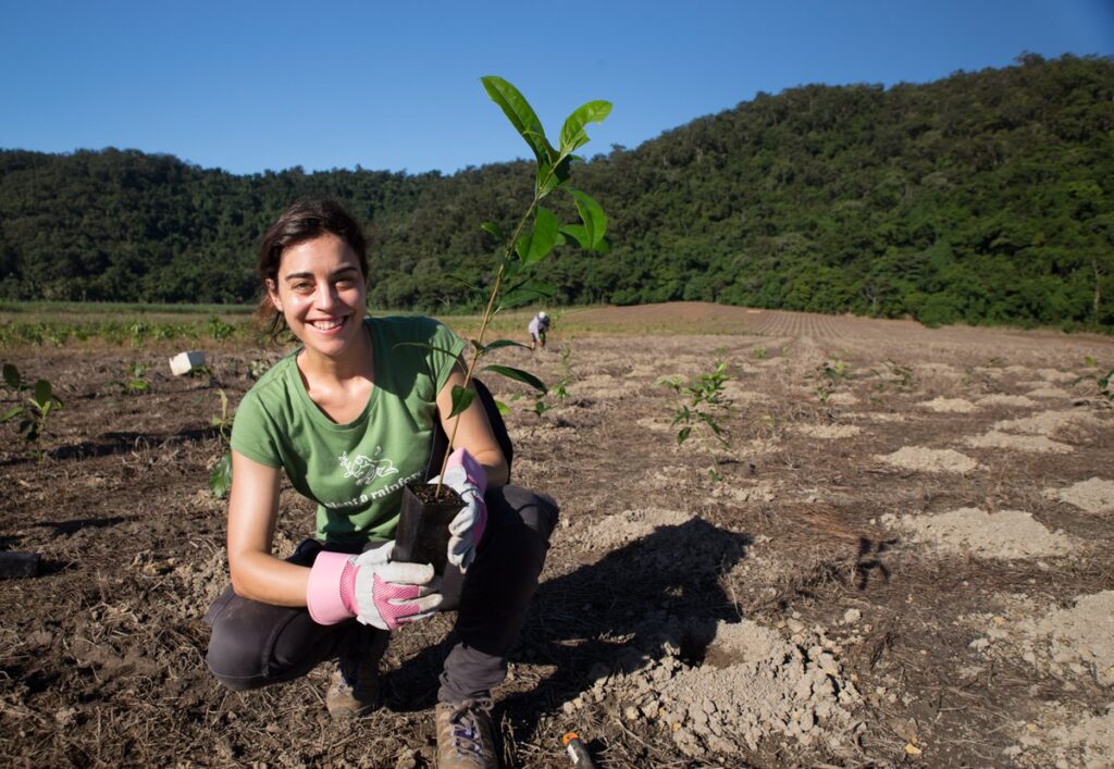 "BioPak Unveils 2024 Impact Certificate, Showcasing New Sustainable Initiatives and Community Contributions" beverage packaging, Bio-based, Compostable Packaging, food and drink packaging, food and drink sustainable packaging, Food packaging Food and Beverage Business