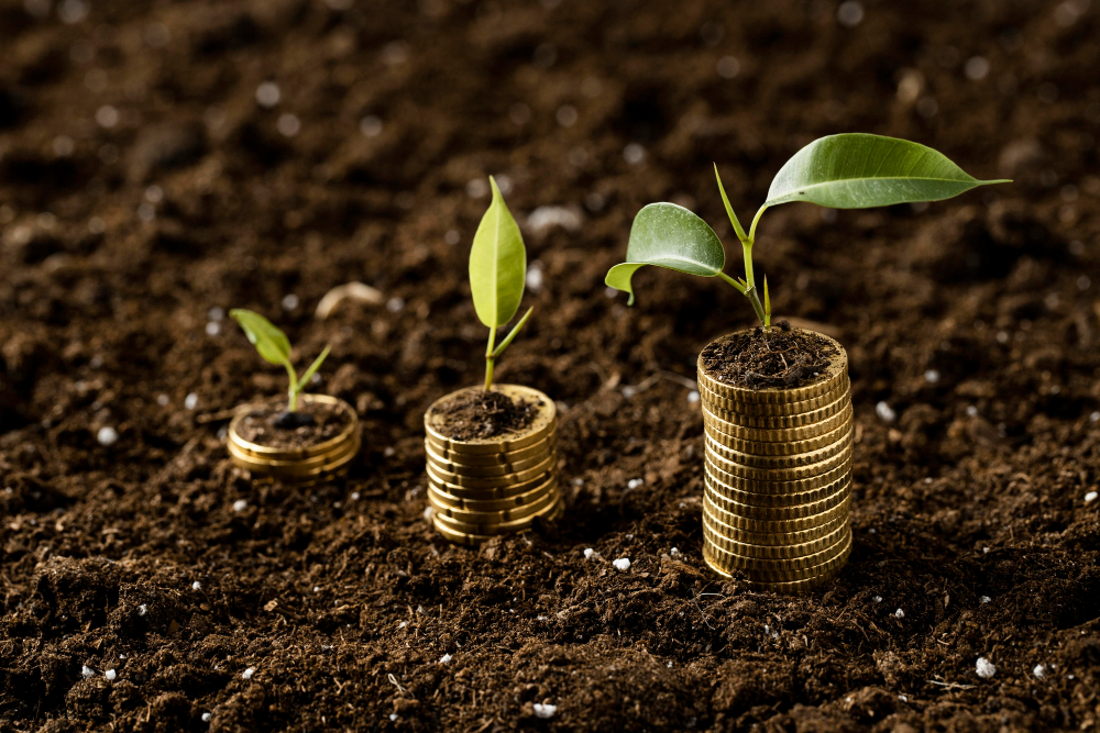 New £1 Million Exchange Market Fund to Incentivize Farmers for Emission Reductions £1m, accounting, Agriculture, background, CloseUp, coins, concept, corporate, ecology, environmental policy, Exchange Market, Farmers, Finance, Financial, financing, fresh, fund, Garden, Green, growing, Here’s a list of comma-separated tags based on the title provided: New, Hold, investor, life, money, natural, person, Profit, reducing emissions, reward, Spring, Sustainability, sustainable, Young Food and Beverage Business