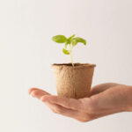 Müller Reduces Emissions with Innovative 'Fast Track' Program emissions, environmental impact, Fast Track, Food Industry, Müller, programme, Sustainability Food and Beverage Business