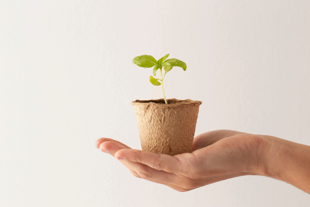 Müller Reduces Emissions with Innovative 'Fast Track' Program emissions, environmental impact, Fast Track, Food Industry, Müller, programme, Sustainability Food and Beverage Business