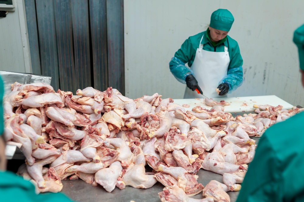 Abattoir Penalized £16,000 for Multiple Hygiene Violations £16k, abattoir, auction, backgrounds, bible, contract, copy space, courtroom, crime, decisions, desk, Fined, gavel, Government, horizontal, hygiene, industry, judge, judgement, justice, Law, law enforcement and crime, lawyer, legal system, legislation, Offences, Police, politics, repeated, trial, wood Food and Beverage Business