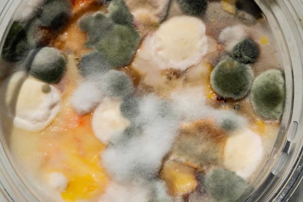 Ensuring Food Safety: Tackling Microbial Threats in the Food and Beverage Industry advanced food testing methods, AI in food microbiology, antimicrobial resistance food safety, climate change food safety impact, food safety regulations and compliance, Food safety technology, food supply chain safety, foodborne illness prevention, microbial contamination detection, sustainable food safety practices Food and Beverage Business Ensuring Food Safety,Tackling Microbial Threats,food safety technology,microbial contamination detection,foodborne illness prevention,AI in food microbiology,advanced food testing methods,food supply chain safety,sustainable food safety practices,climate change food safety impact,antimicrobial resistance food safety,food safety regulations and compliance