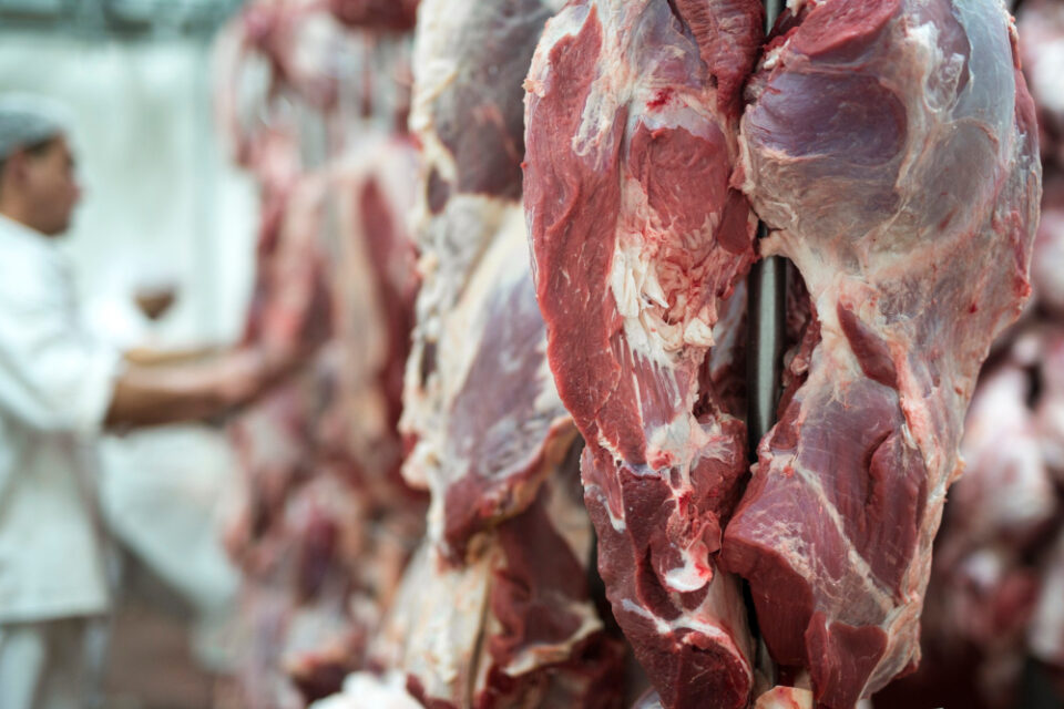 The UK Halal Market Poised for Significant Expansion Food Industry, growth, Halal, market, UK Food and Beverage Business