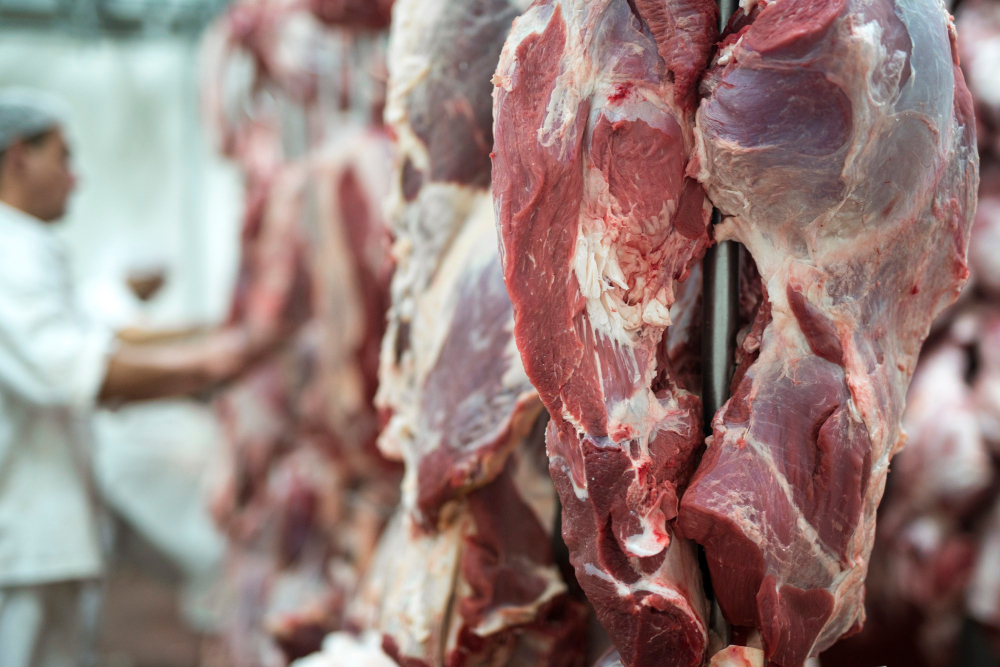 The UK Halal Market Poised for Significant Expansion Food Industry, growth, Halal, market, UK Food and Beverage Business