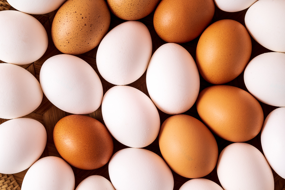 Cal-Maine Foods Introduces Changes to Shareholder Structure Food and Beverage Business Cal-Maine Foods Introduces Changes to Shareholder Structure Cal-Maine, Cal-Maine Foods, CalMaine, changes, egg group, Foods, Introduces, shareholder, shareholder structure, Structure Food and Beverage Business