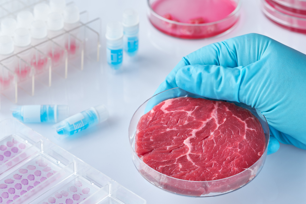 Bühler and Ever After Foods Collaborate to Enhance Production and Distribution of Cultivated Meat Bühler, Collaboration, Cultivated meat, Distribution, Ever After Foods, Food Industry, production, Sustainability Food and Beverage Business