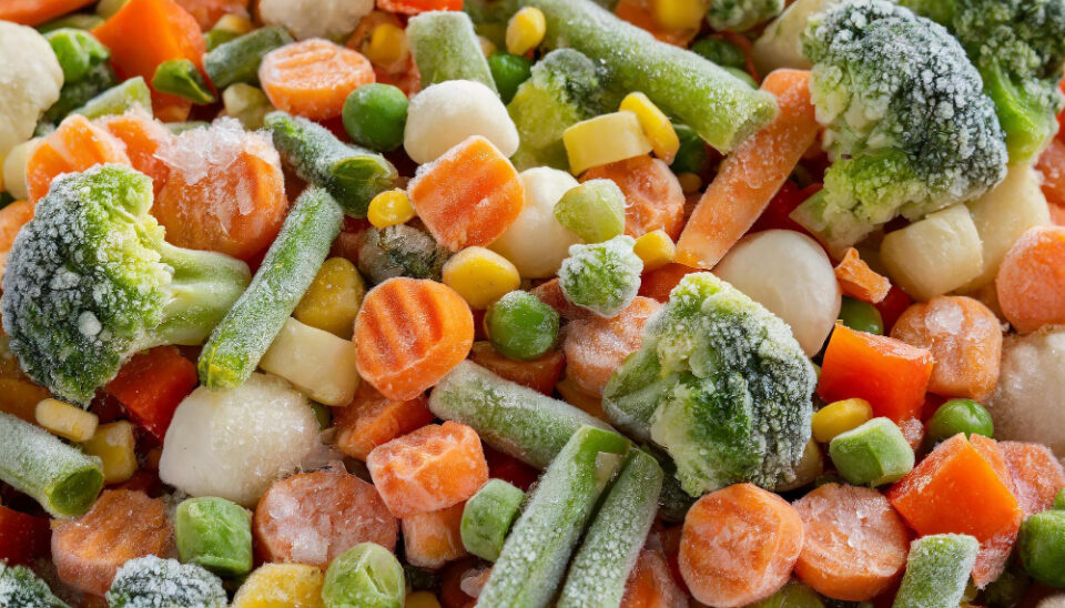 Greenyard Pursues Majority Ownership in Gelagri Bretagne Gelagri Bretagne, Greenyard, majority stake Food and Beverage Business