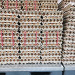 Brazil's Ricardo Faria Acquires US Egg Producer Hillandale Farms Brazil, buys, egg producer, eggs, hillandale farms, ricardo faria, US Food and Beverage Business