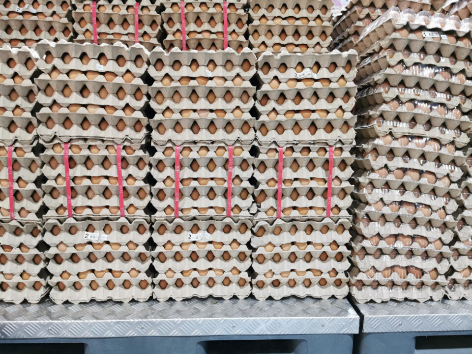 Brazil's Ricardo Faria Acquires US Egg Producer Hillandale Farms Brazil, buys, egg producer, eggs, hillandale farms, ricardo faria, US Food and Beverage Business