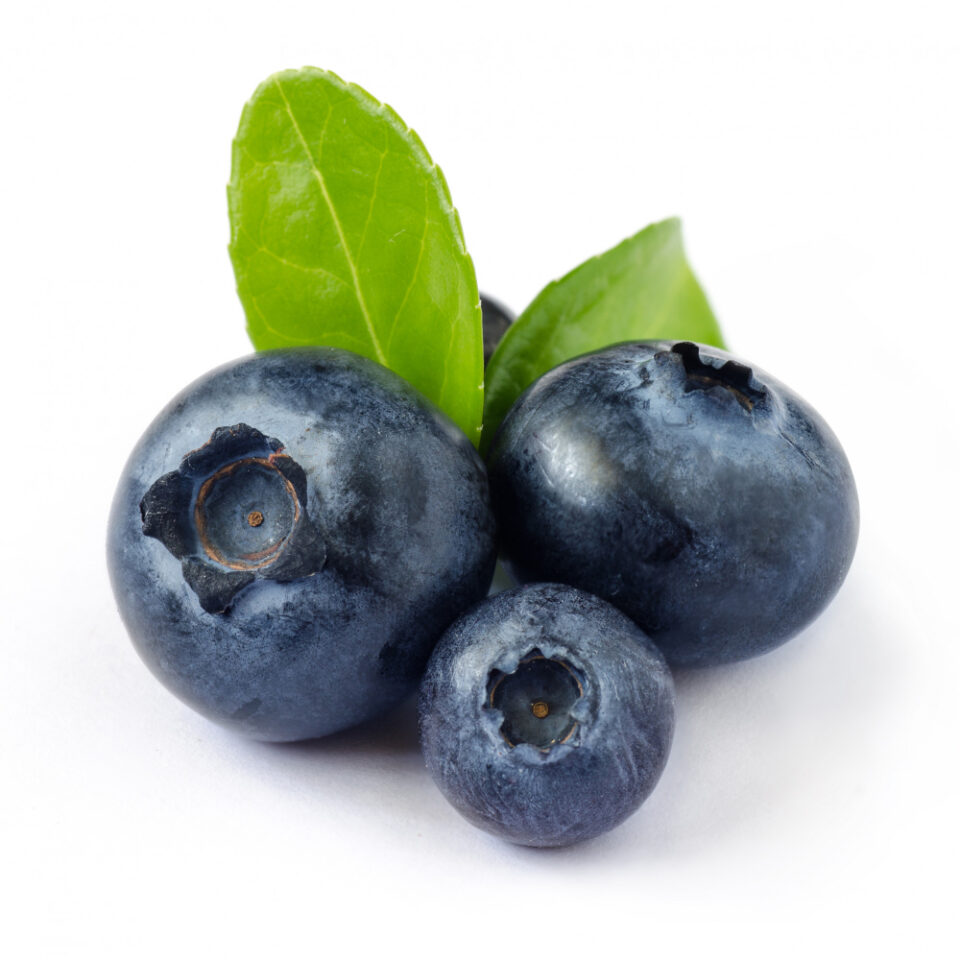 Costa Group Unveils New Berry Cultivation Operation - berry growing, - business launch, - cultivation, - grow operations, Agriculture, Berries, farming, food production, Fresh produce, Here are some suggested tags based on the title "Costa Group launches berry growing operation in": - Costa Group, horticulture Food and Beverage Business