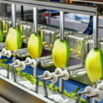 Sharper Focus: How Cutting-Edge Technology Is Redefining Food Slicing and Dicing AI in food cutting lines, automated food portion control, collaborative robots in food processing, cutting equipment for hygiene compliance, flexible automation in food factories, food processing efficiency technologies, food slicing and dicing automation, hygienic food processing machinery, inline quality control in food slicing, machine learning in-food production, portion control technology for manufacturers, predictive maintenance in food equipment, real-time data in food production, robotic arms in food factories, robotic food processing equipment, smart cutting solutions for food, sustainability in food cutting processes, ultrasonic food cutting technology, ultrasonic slicers for cheese, waste reduction through food cutting tech Food and Beverage Business