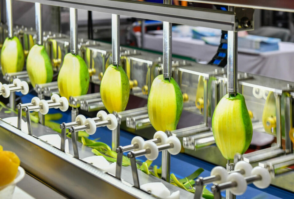 Sharper Focus: How Cutting-Edge Technology Is Redefining Food Slicing and Dicing AI in food cutting lines, automated food portion control, collaborative robots in food processing, cutting equipment for hygiene compliance, flexible automation in food factories, food processing efficiency technologies, food slicing and dicing automation, hygienic food processing machinery, inline quality control in food slicing, machine learning in-food production, portion control technology for manufacturers, predictive maintenance in food equipment, real-time data in food production, robotic arms in food factories, robotic food processing equipment, smart cutting solutions for food, sustainability in food cutting processes, ultrasonic food cutting technology, ultrasonic slicers for cheese, waste reduction through food cutting tech Food and Beverage Business ultrasonic food cutting technology,robotic food processing equipment,AI in food cutting lines,food slicing and dicing automation,hygienic food processing machinery,ultrasonic slicers for cheese,robotic arms in food factories,collaborative robots in food processing,automated food portion control,smart cutting solutions for food,food processing efficiency technologies,predictive maintenance in food equipment,machine learning in food production,cutting equipment for hygiene compliance,sustainability in food cutting processes,portion control technology for manufacturers,inline quality control in food slicing,real-time data in food production,waste reduction through food cutting tech,flexible automation in food factories