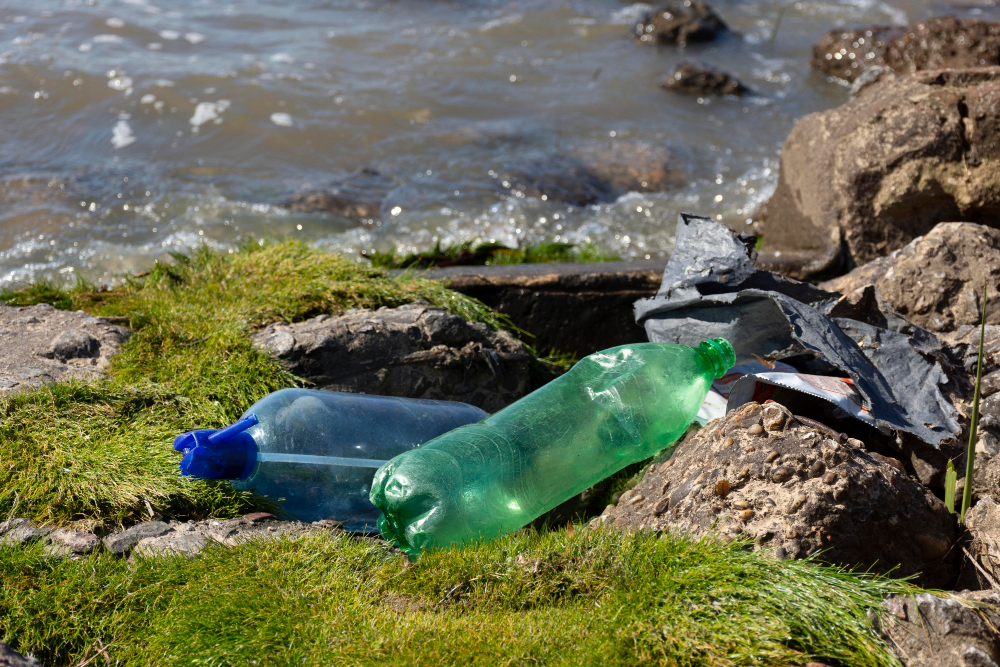 EPR and Additional European Packaging Regulations bottle, color image, Environment, environmental conservation, Forest, freshness, garbage, industry, Leaf, Moss, Nature, nature symbols/metaphors, nobody, outdoors, plastic, pollution, putting green, recycling, retail/service industry, river, transparent, Tree, Water bottle Food and Beverage Business