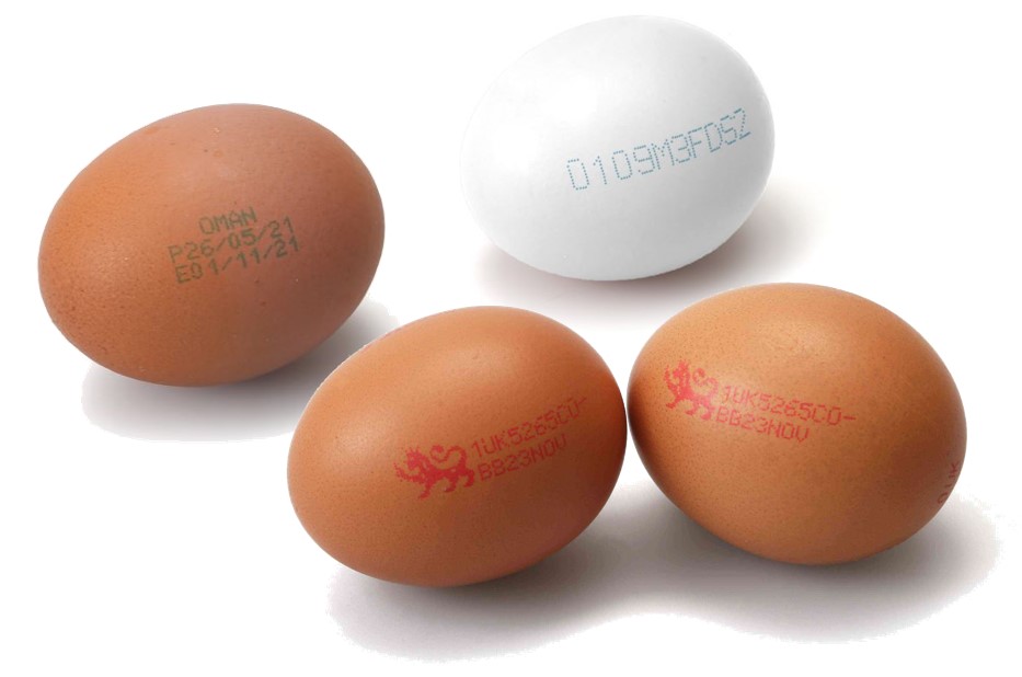 Domino's 'Egg Passport' Coding Supports Portugal's Matinados Egg Brand coding, Domino, egg brand, Egg Passport, Matinados, Portugal, Sure! Here’s a list of comma-separated tags based on the title you provided: Domino Food and Beverage Business
