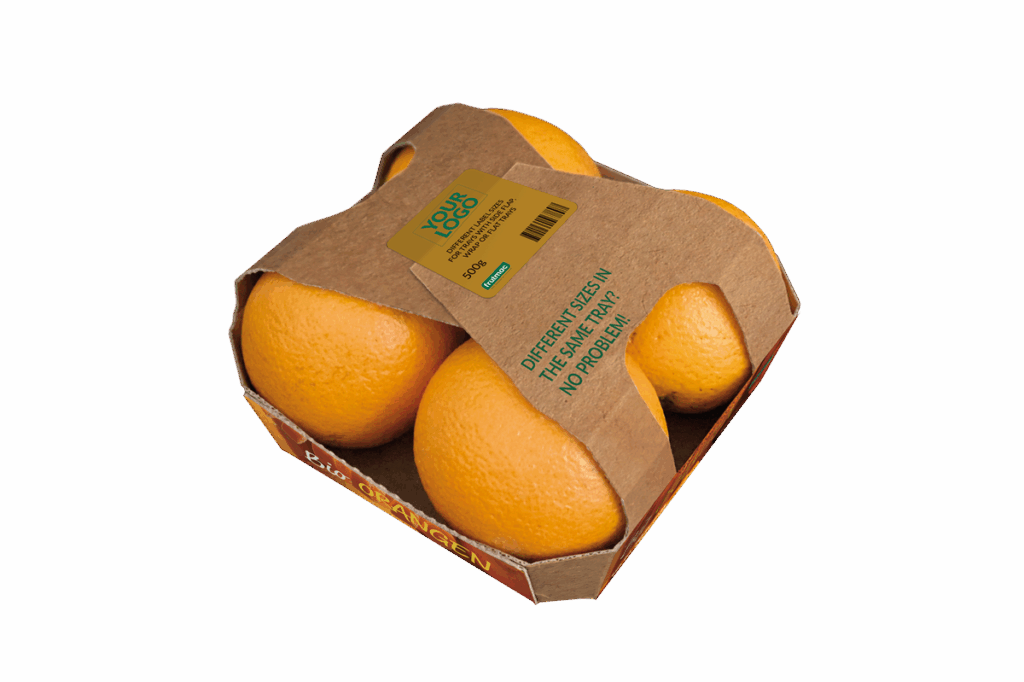 Xact Prepack and Frutmac Join Forces to Provide Eco-Friendly Cardboard Packaging Solutions for the Food Sector cardboard, food and drink packaging, food and drink sustainable packaging, Food packaging, Machinery, Recyclability Food and Beverage Business