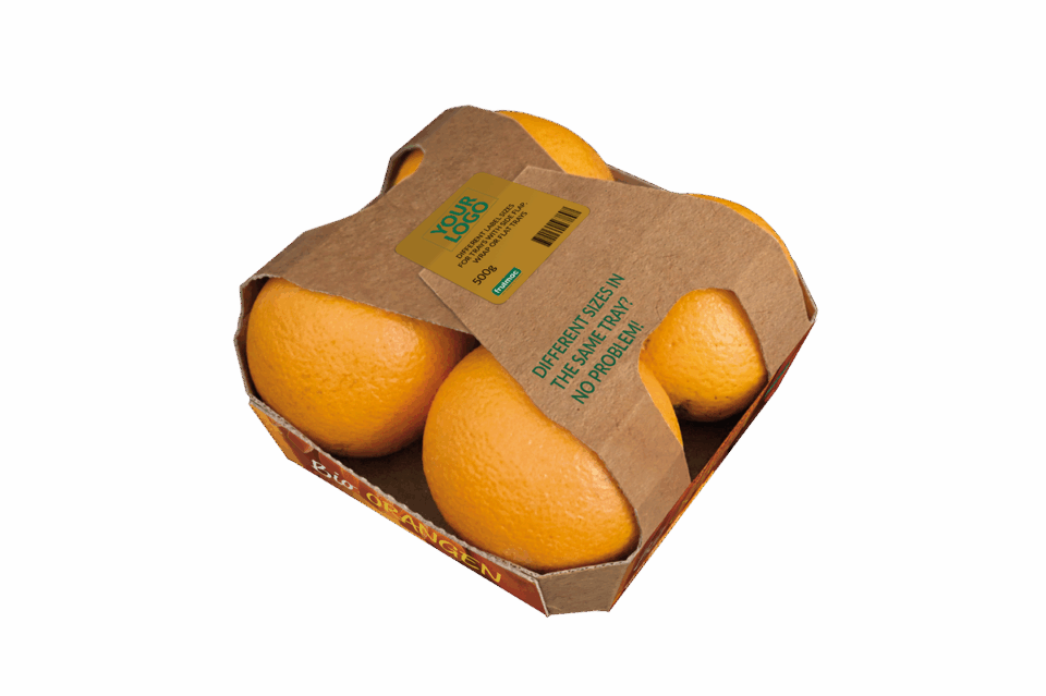 Xact Prepack and Frutmac Join Forces to Provide Eco-Friendly Cardboard Packaging Solutions for the Food Sector cardboard, food and drink packaging, food and drink sustainable packaging, Food packaging, Machinery, Recyclability Food and Beverage Business