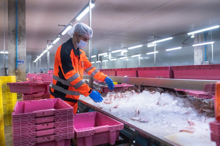 Frozen and Chilled Foods: Innovation, Premiumisation and the Cold Chain ...