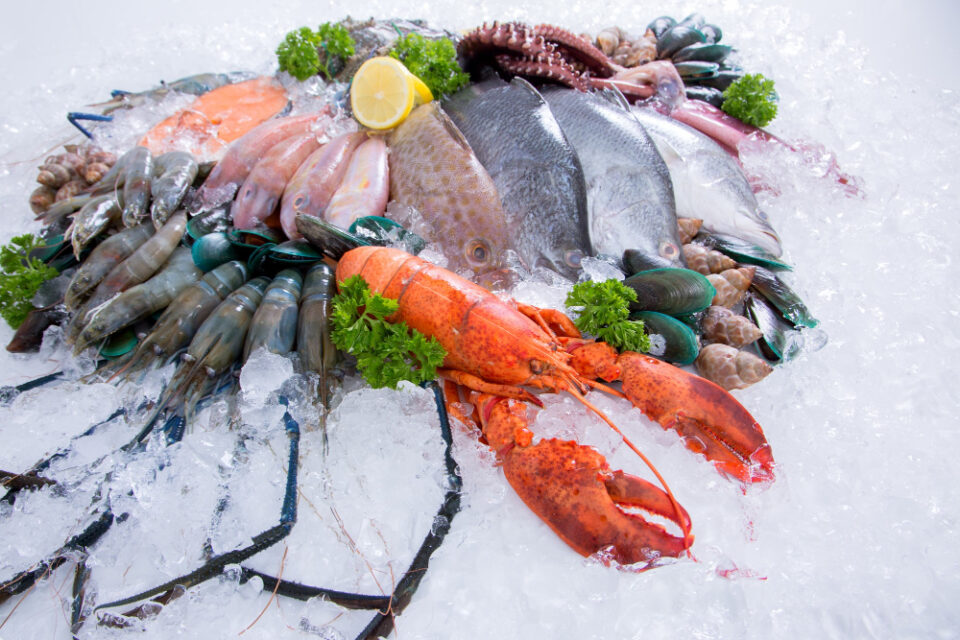 Pacific Seafood to Expand into Europe with New Office Launch EU expansion, Europe, Fish & Seafood, Here’s a list of tags based on the title: Pacific Seafood, international business, office opening, seafood industry Food and Beverage Business