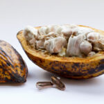 Hershey Seeks Waiver from Cocoa-Related Tariffs cocoa, Exemption, Hershey, tariffs, Trump Tariffs Food and Beverage Business