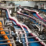 Suntory Beverage & Food GB&I Unveils Redesigned Lucozade Energy Bottles Food and Beverage Business