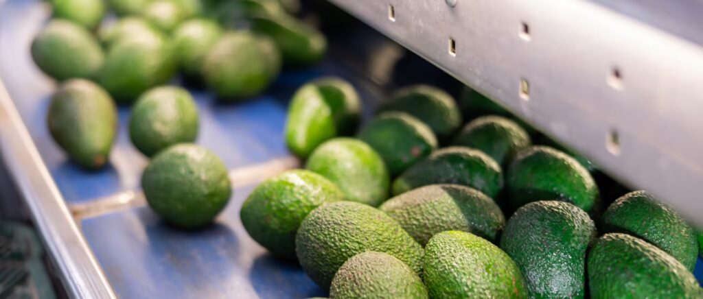 TRANSFORMING THE FOOD SUPPLY CHAIN Food and Beverage Business